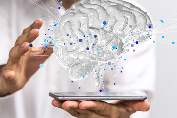 家里养两只猫总是打架要不要分开饲养