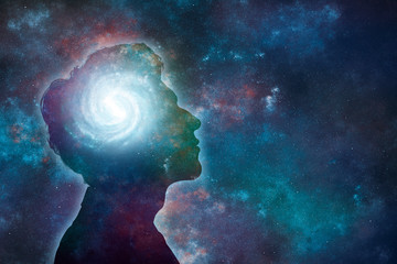 蓝鲸主要分布在哪些地方？