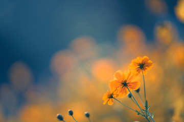 六年级上册数学必考题归纳