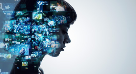 家里养两只猫总是打架要不要分开饲养