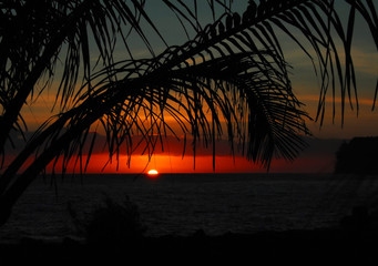 美食冷门小知识