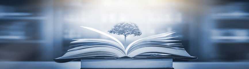 蓝鲸主要分布在哪些地方？