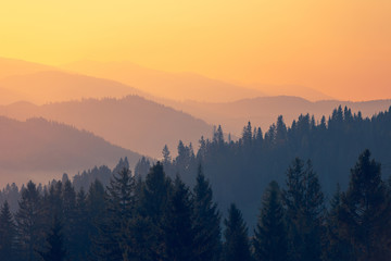 中国历史人物故事有哪些