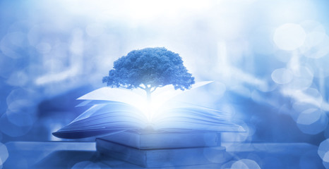 六年级上册数学必考题归纳