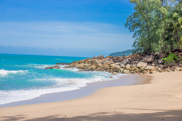 蓝鲸主要分布在哪些地方？