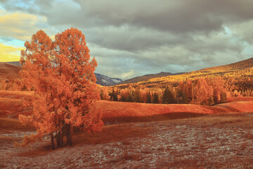 旅游的类型有哪些？