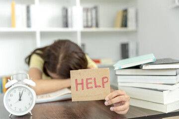 六年级上册数学必考题归纳