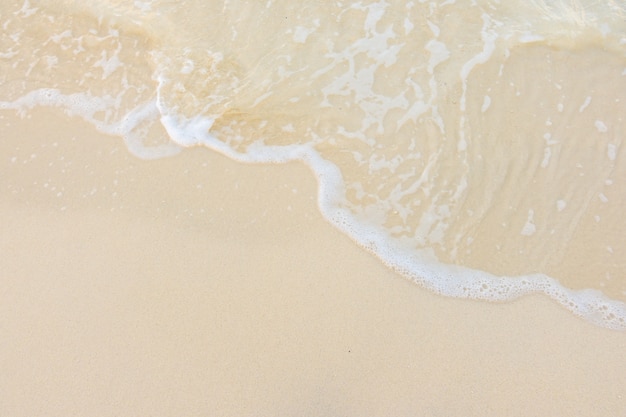 中国古代有几个朝代定都在洛阳