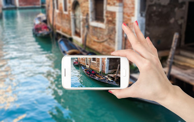 蓝鲸主要分布在哪些地方？