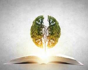 六年级上册数学必考题归纳