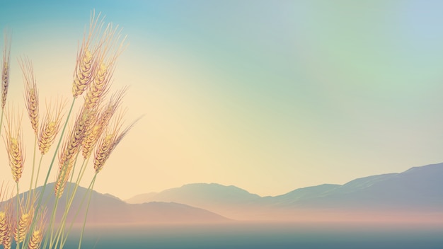 四年级上数学乘法手抄报 四年级上册手抄报