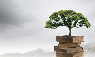 关于足球的数学题100道