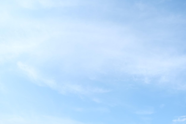 美食冷门小知识