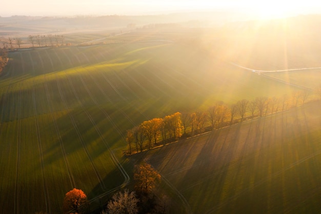 四年级上数学乘法手抄报 四年级上册手抄报